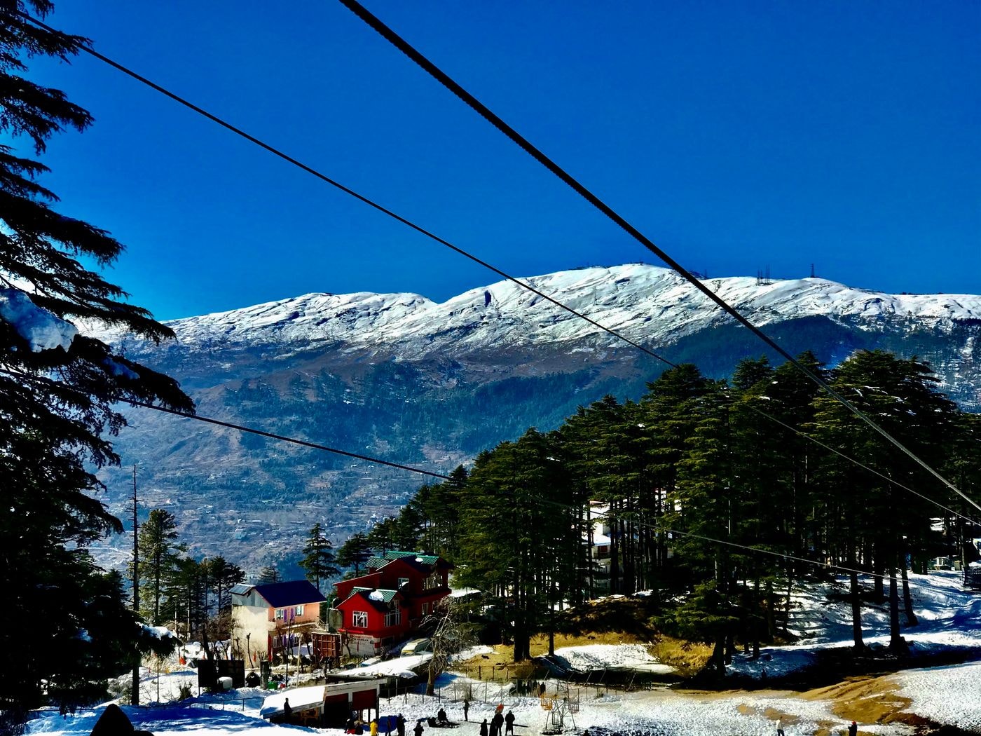 Patnitop Woods , Jammu and Kashmir , India